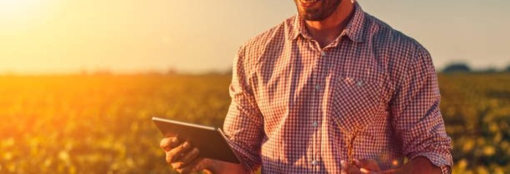 Young farmer in filed holding tablet in his hands and examining soybean corp. Young farmer in filed holding tablet in his hands and examining soybean corp.